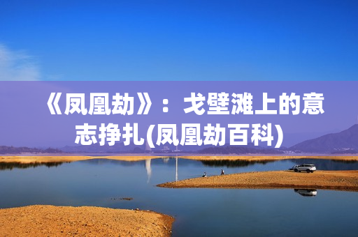 《凤凰劫》：戈壁滩上的意志挣扎(凤凰劫百科)