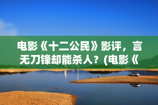 电影《十二公民》影评，言无刀锋却能杀人？(电影《十二公民》)
