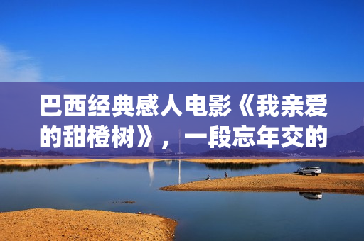 巴西经典感人电影《我亲爱的甜橙树》，一段忘年交的真挚故事(巴西好电影)