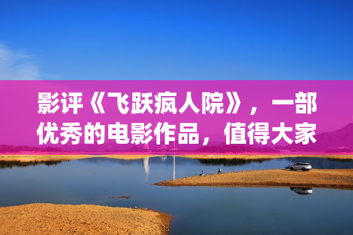 影评《飞跃疯人院》，一部优秀的电影作品，值得大家去观看！(飞跃疯人院台词图片)