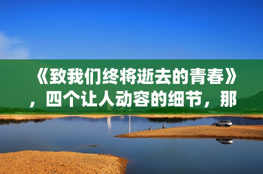 《致我们终将逝去的青春》，四个让人动容的细节，那是你的青春吗(致我们终将逝去的青春 辛夷坞)