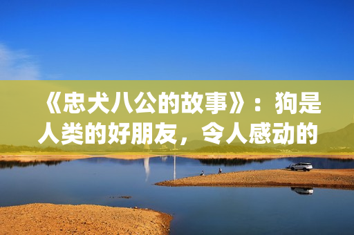 《忠犬八公的故事》：狗是人类的好朋友，令人感动的真实故事(忠犬八公的故事电影免费观看完整版)
