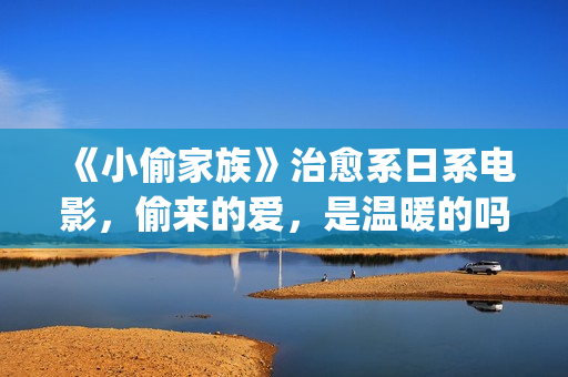 《小偷家族》治愈系日系电影，偷来的爱，是温暖的吗？(小偷家族121min)