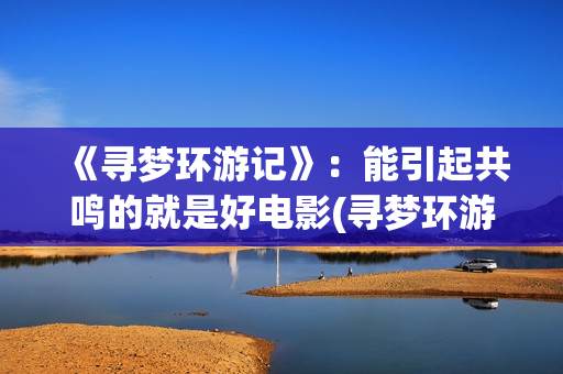 《寻梦环游记》：能引起共鸣的就是好电影(寻梦环游记(普通话版))