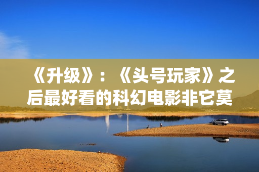 《升级》：《头号玩家》之后最好看的科幻电影非它莫属(升级头像)