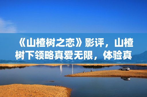 《山楂树之恋》影评，山楂树下领略真爱无限，体验真爱真情(《山楂树之恋》舞蹈Dj)