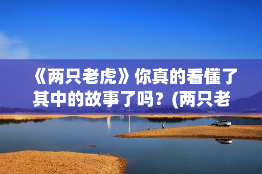 《两只老虎》你真的看懂了其中的故事了吗？(两只老虎 原词)