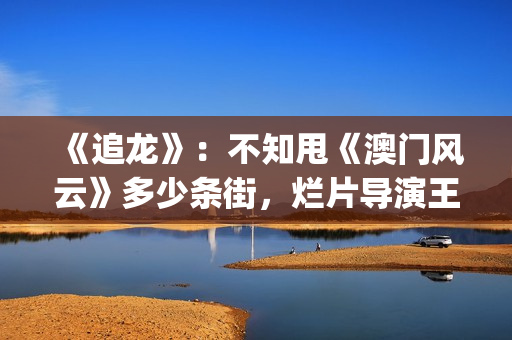 《追龙》：不知甩《澳门风云》多少条街，烂片导演王晶的翻身之作(追龙1百度百科)