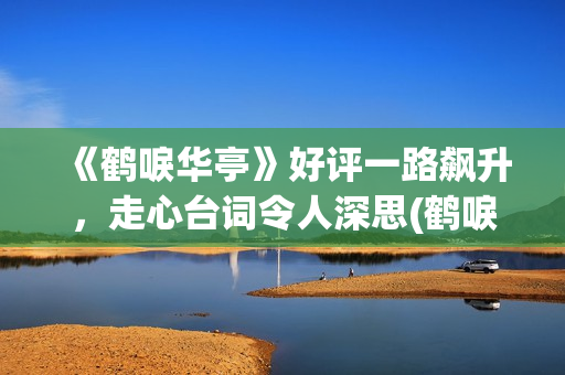 《鹤唳华亭》好评一路飙升，走心台词令人深思(鹤唳华亭好看吗 豆瓣)