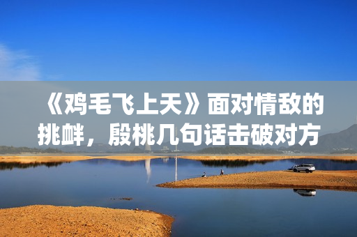 《鸡毛飞上天》面对情敌的挑衅，殷桃几句话击破对方(《鸡毛飞上天》电视剧)