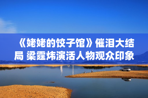 《姥姥的饺子馆》催泪大结局 梁霆炜演活人物观众印象深刻(姥姥的饺子馆方达结局)