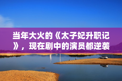 当年大火的《太子妃升职记》，现在剧中的演员都逆袭成功了(太ㄧ 歌手)