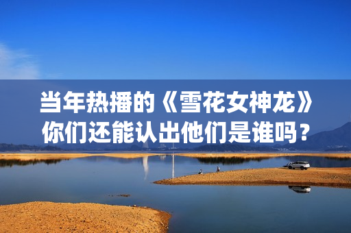 当年热播的《雪花女神龙》你们还能认出他们是谁吗？(雪是哪个电视剧主题曲)