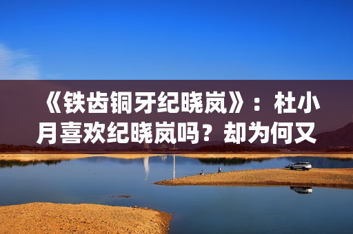 《铁齿铜牙纪晓岚》：杜小月喜欢纪晓岚吗？却为何又两次嫁人？(铁齿铜牙纪晓岚2免费完整版)
