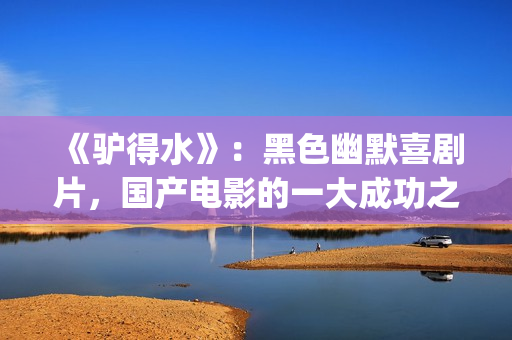 《驴得水》：黑色幽默喜剧片，国产电影的一大成功之作！(驴得水原版)