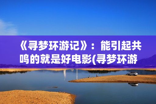 《寻梦环游记》：能引起共鸣的就是好电影(寻梦环游记国语版免费观看完整版)