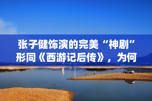 张子健饰演的完美“神剧”形同《西游记后传》，为何却被点名批评(张子健电视)
