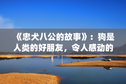 《忠犬八公的故事》：狗是人类的好朋友，令人感动的真实故事(《忠犬八公的故事》免费观看)