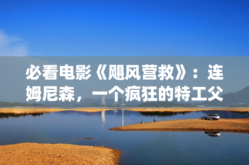 必看电影《飓风营救》：连姆尼森，一个疯狂的特工父亲，让人泪目(电影《飓风》)