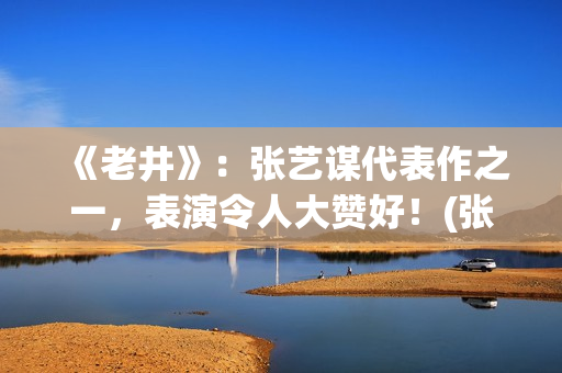 《老井》：张艺谋代表作之一，表演令人大赞好！(张艺谋演老井多大了)
