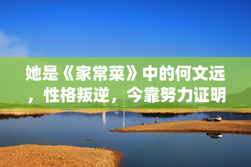 她是《家常菜》中的何文远，性格叛逆，今靠努力证明自己(电视剧家常菜原型)