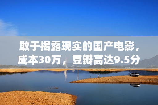 敢于揭露现实的国产电影，成本30万，豆瓣高达9.5分，只因太真实(揭露了现实)