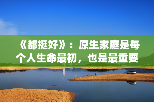 《都挺好》：原生家庭是每个人生命最初，也是最重要的关系。(都挺好原著苏明成在监狱经历了什么)