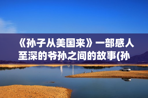 《孙子从美国来》一部感人至深的爷孙之间的故事(孙子从美国来 在线观看)