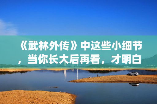 《武林外传》中这些小细节，当你长大后再看，才明白社会的险恶！(武林外传中郭巨侠在家排名老几)