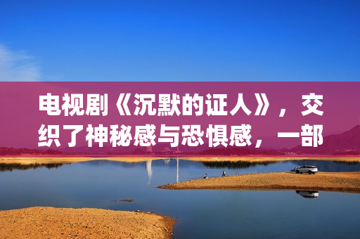 电视剧《沉默的证人》，交织了神秘感与恐惧感，一部经典的刑侦剧(电视剧《沉默的荣耀》)