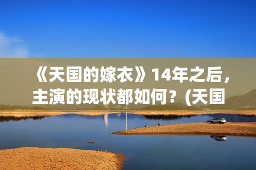 《天国的嫁衣》14年之后，主演的现状都如何？(天国的嫁衣演员表介绍)