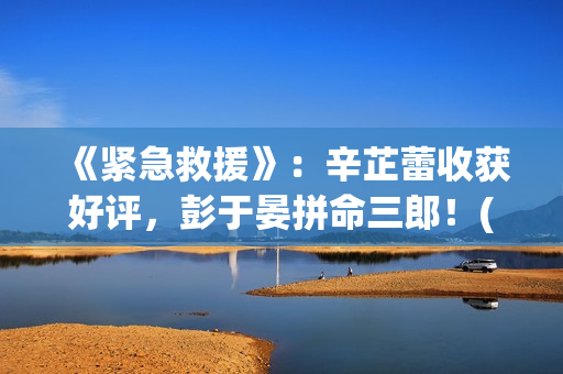 《紧急救援》：辛芷蕾收获好评，彭于晏拼命三郎！(紧急救援第八季)