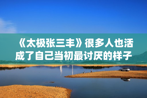 《太极张三丰》很多人也活成了自己当初最讨厌的样子(《太极张三丰》免费播放)