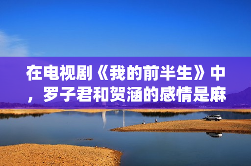 在电视剧《我的前半生》中，罗子君和贺涵的感情是麻烦出来的(我的电视剧叫什么)