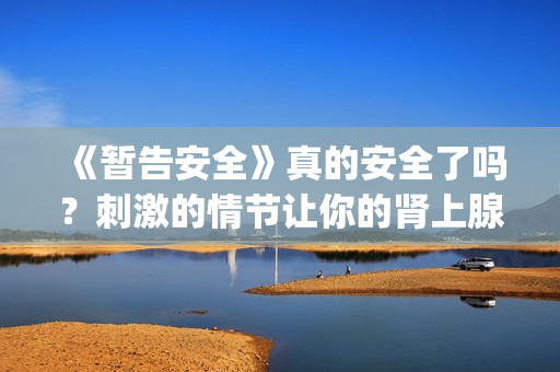 《暂告安全》真的安全了吗？刺激的情节让你的肾上腺素狂飙！(暂告安全高清中字下载)