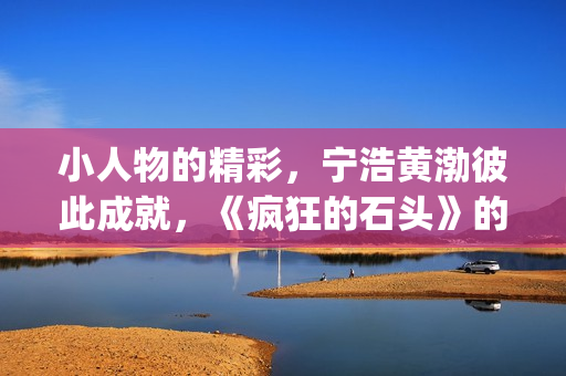 小人物的精彩，宁浩黄渤彼此成就，《疯狂的石头》的成功不无道理(小人物的精彩句子)