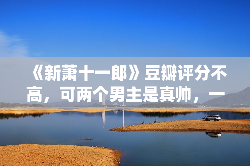 《新萧十一郎》豆瓣评分不高，可两个男主是真帅，一个比一个养眼(新萧十一郎免费观看完整版)