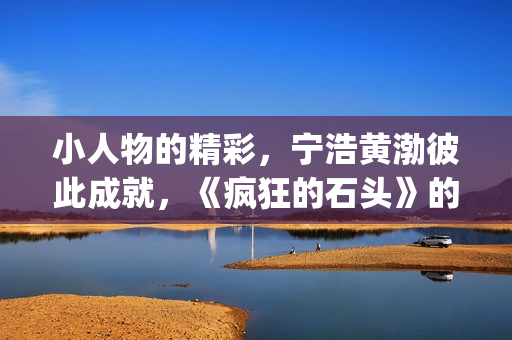 小人物的精彩，宁浩黄渤彼此成就，《疯狂的石头》的成功不无道理(小人物的精彩作文)