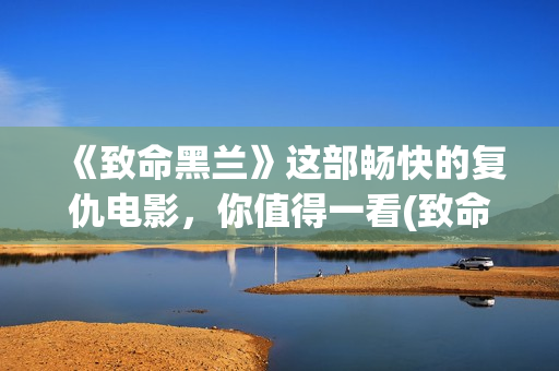 《致命黑兰》这部畅快的复仇电影，你值得一看(致命黑兰原版)