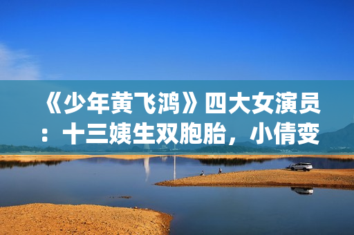 《少年黄飞鸿》四大女演员：十三姨生双胞胎，小倩变美，最红是她(少年黄飞鸿演员表全部)
