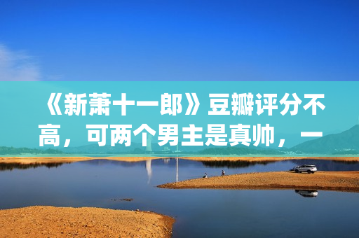 《新萧十一郎》豆瓣评分不高，可两个男主是真帅，一个比一个养眼(新萧十一郎连城璧)