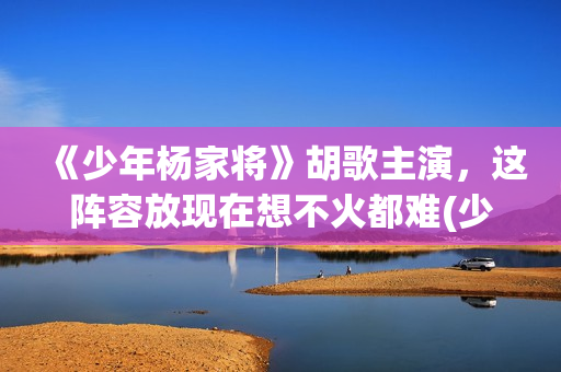《少年杨家将》胡歌主演，这阵容放现在想不火都难(少年杨家将 电视剧)