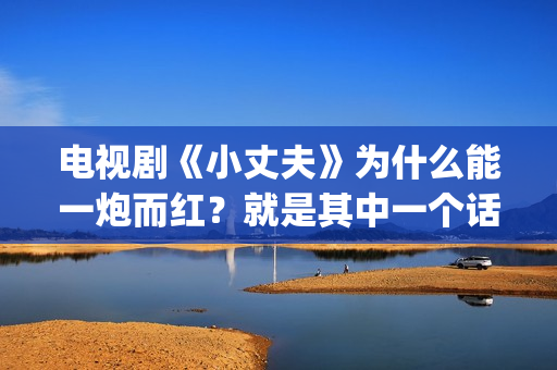 电视剧《小丈夫》为什么能一炮而红？就是其中一个话题，姐弟恋(电视剧《小丈夫》免费播放)