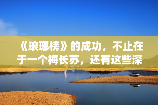 《琅琊榜》的成功，不止在于一个梅长苏，还有这些深入人心的角色(《琅琊榜》的成毅是谁)