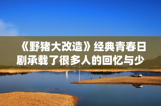 《野猪大改造》经典青春日剧承载了很多人的回忆与少女心(野猪大改造百度云)
