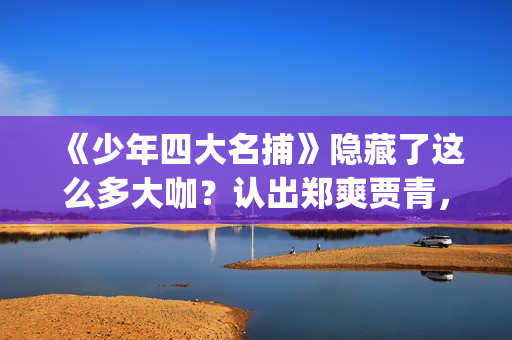 《少年四大名捕》隐藏了这么多大咖？认出郑爽贾青，却没认出她！(少年四大名捕TVB)