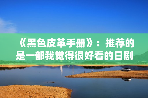 《黑色皮革手册》：推荐的是一部我觉得很好看的日剧(黑色皮革手册在线播放)