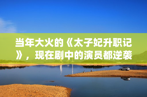 当年大火的《太子妃升职记》，现在剧中的演员都逆袭成功了(太一火的歌)
