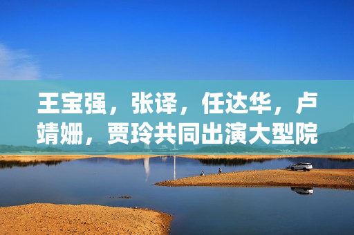 王宝强，张译，任达华，卢靖姗，贾玲共同出演大型院线爆笑喜剧《泰味儿》，或成为19年票房黑马？(王宝强张译悼念刁海明)