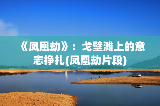 《凤凰劫》：戈壁滩上的意志挣扎(凤凰劫片段)